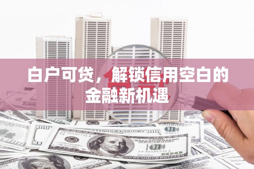 金湖白户可贷，解锁信用空白的金融新机遇