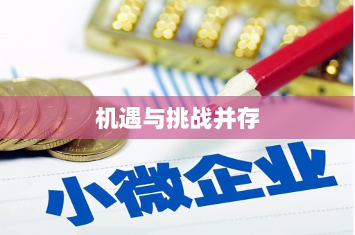 金湖机遇与挑战并存