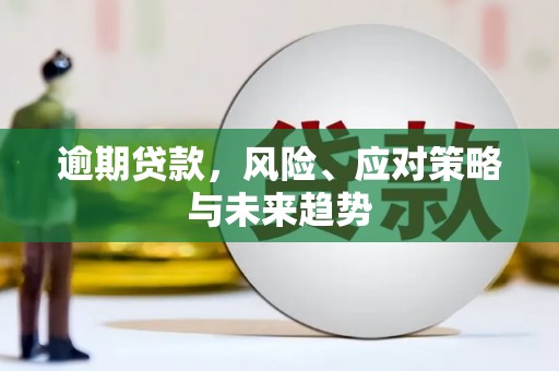 金湖逾期贷款，风险、应对策略与未来趋势
