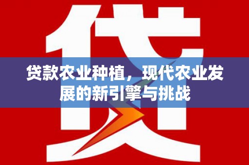 金湖贷款农业种植，现代农业发展的新引擎与挑战
