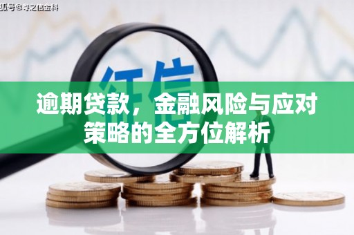 金湖逾期贷款，金融风险与应对策略的全方位解析