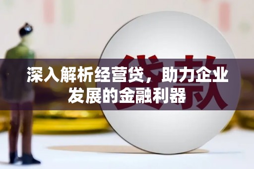 金湖深入解析经营贷，助力企业发展的金融利器