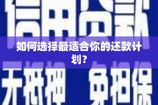 金湖如何选择最适合你的还款计划？