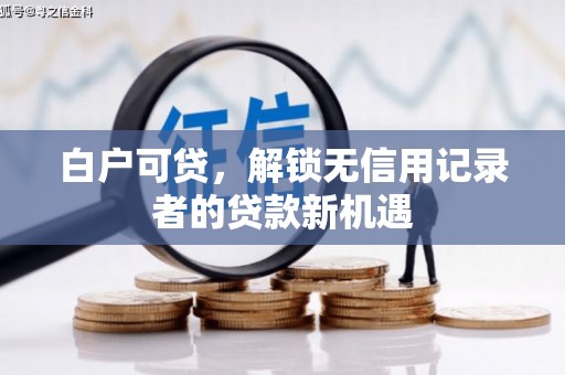 金湖白户可贷，解锁无信用记录者的贷款新机遇