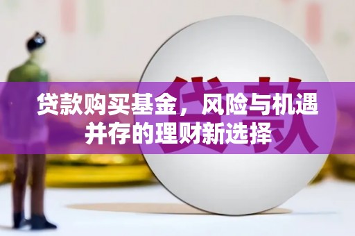 金湖贷款购买基金，风险与机遇并存的理财新选择