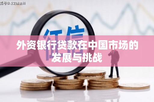 金湖外资银行贷款在中国市场的发展与挑战