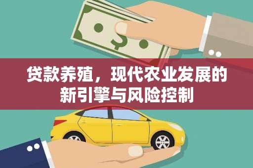 金湖贷款养殖，现代农业发展的新引擎与风险控制