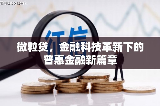 金湖微粒贷，金融科技革新下的普惠金融新篇章
