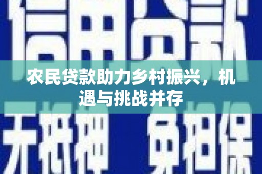 金湖农民贷款助力乡村振兴，机遇与挑战并存