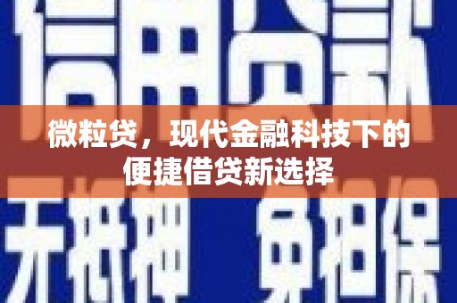 金湖微粒贷，现代金融科技下的便捷借贷新选择