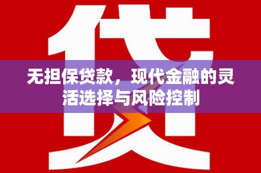 金湖无担保贷款，现代金融的灵活选择与风险控制