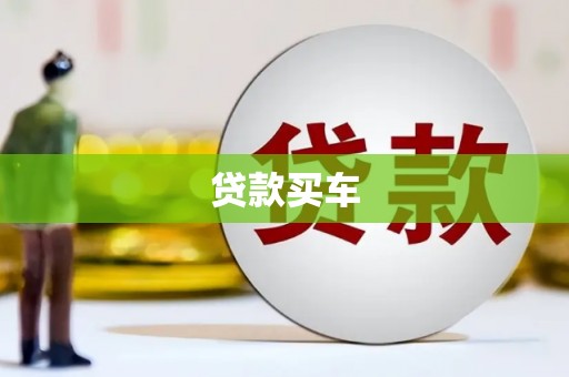 金湖贷款买车