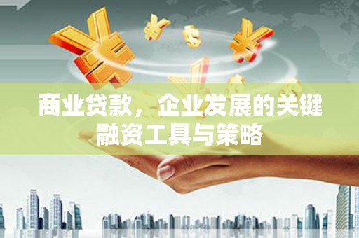金湖商业贷款，企业发展的关键融资工具与策略