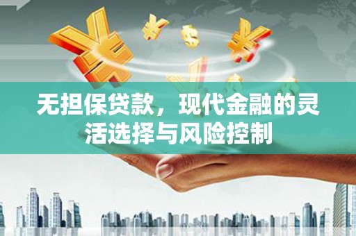 金湖无担保贷款，现代金融的灵活选择与风险控制