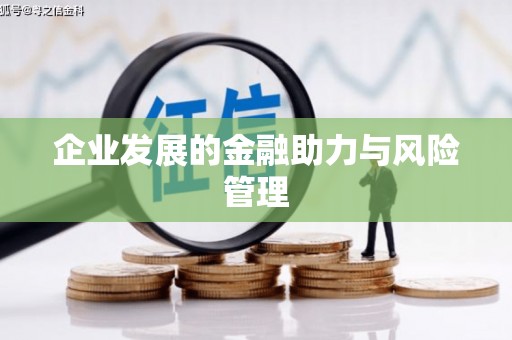 金湖企业发展的金融助力与风险管理