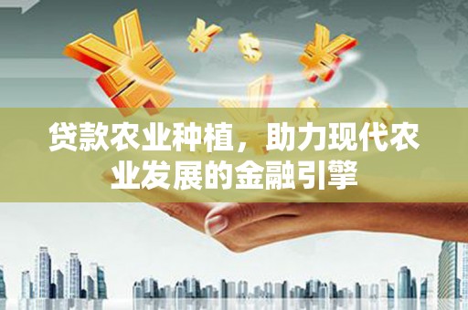 金湖贷款农业种植，助力现代农业发展的金融引擎