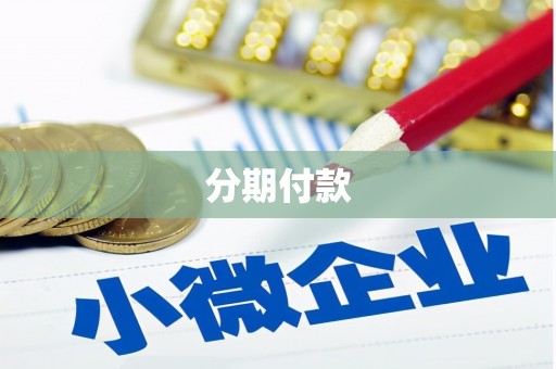 金湖分期付款