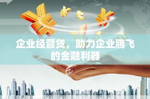 金湖企业经营贷，助力企业腾飞的金融利器