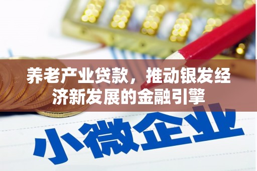 金湖养老产业贷款，推动银发经济新发展的金融引擎