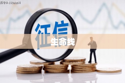 金湖生命线