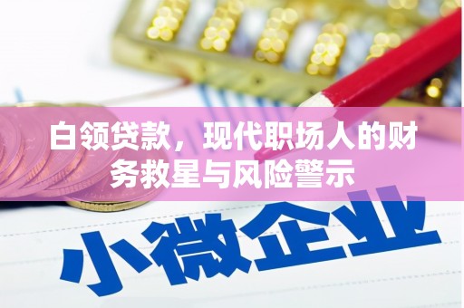 金湖白领贷款，现代职场人的财务救星与风险警示