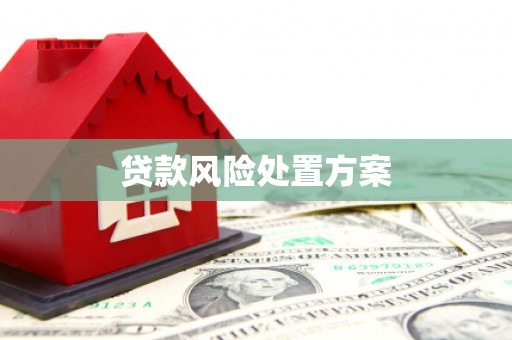 金湖贷款风险处置方案