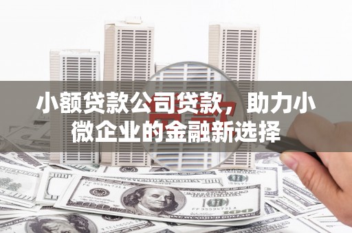 金湖小额贷款公司贷款，助力小微企业的金融新选择