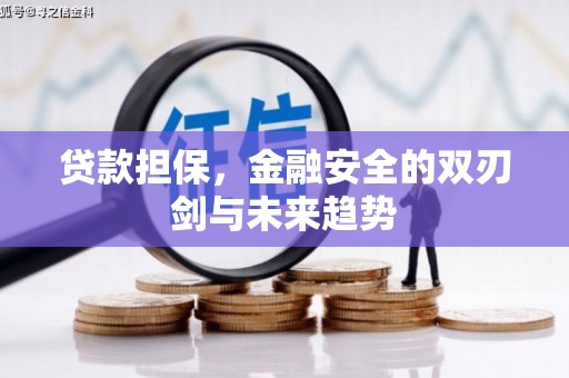 金湖贷款担保，金融安全的双刃剑与未来趋势
