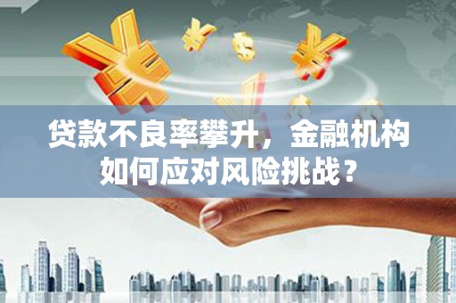 金湖贷款不良率攀升，金融机构如何应对风险挑战？