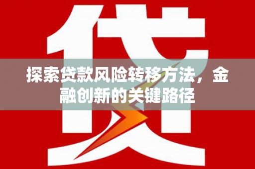 金湖探索贷款风险转移方法，金融创新的关键路径