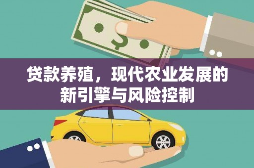 金湖贷款养殖，现代农业发展的新引擎与风险控制