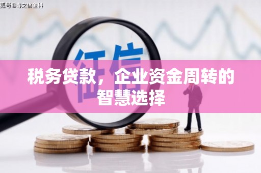 金湖税务贷款，企业资金周转的智慧选择