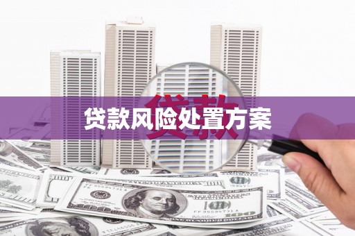 金湖贷款风险处置方案