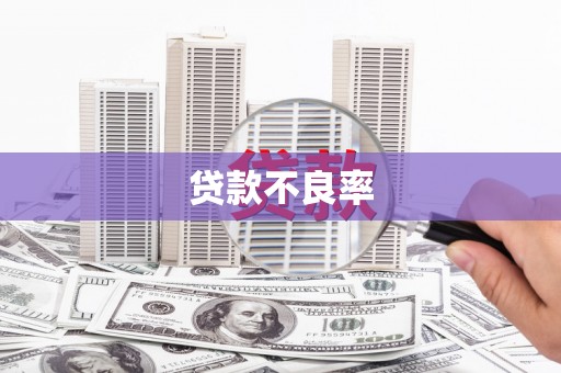 金湖贷款不良率