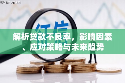 金湖解析贷款不良率，影响因素、应对策略与未来趋势