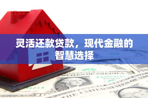 金湖灵活还款贷款，现代金融的智慧选择