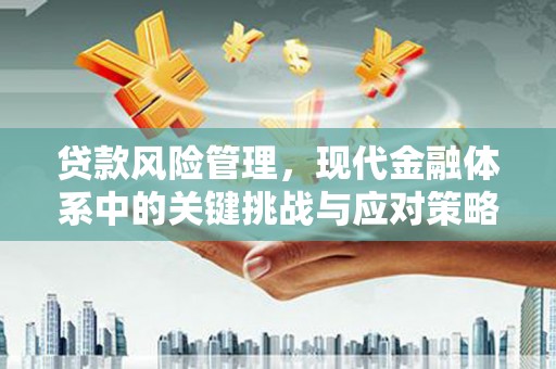 金湖贷款风险管理，现代金融体系中的关键挑战与应对策略