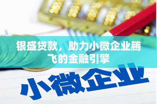 金湖银盛贷款，助力小微企业腾飞的金融引擎