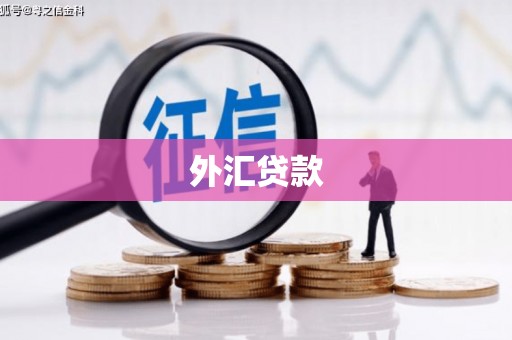 金湖外汇贷款