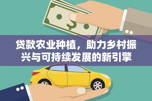 金湖贷款农业种植，助力乡村振兴与可持续发展的新引擎