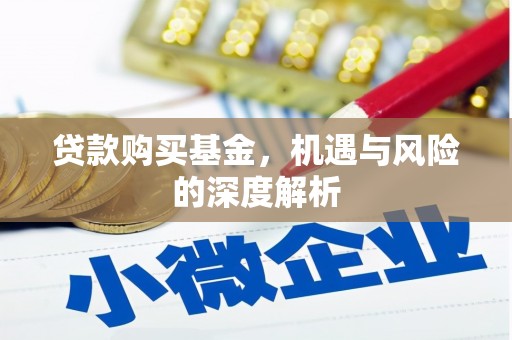 金湖贷款购买基金，机遇与风险的深度解析