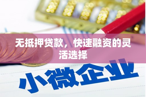 金湖无抵押贷款，快速融资的灵活选择
