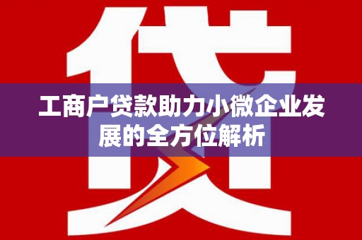 金湖工商户贷款助力小微企业发展的全方位解析