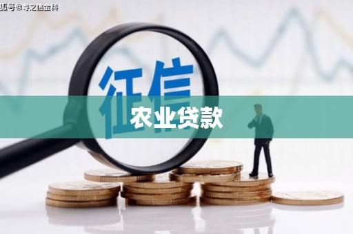 金湖农业贷款