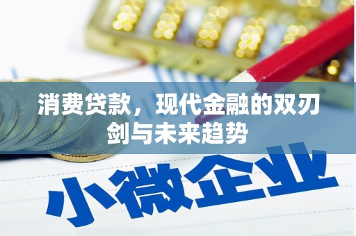 金湖消费贷款，现代金融的双刃剑与未来趋势