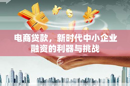 金湖电商贷款，新时代中小企业融资的利器与挑战