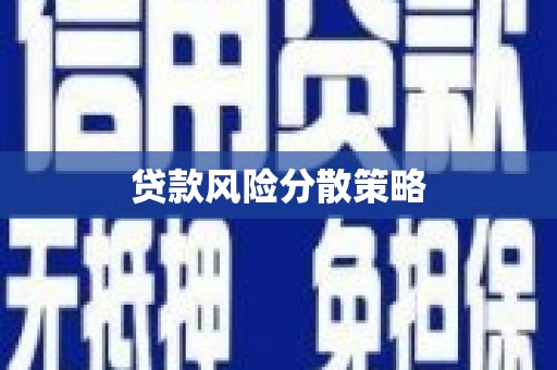 金湖贷款风险分散策略