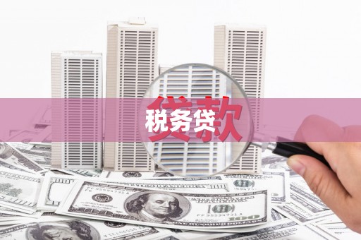 金湖税务贷