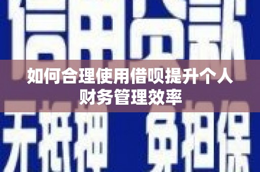 金湖如何合理使用借呗提升个人财务管理效率