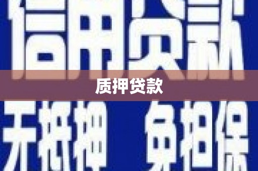 金湖质押贷款
